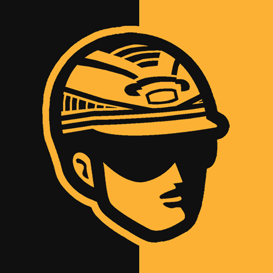 Pro Series helmet mark